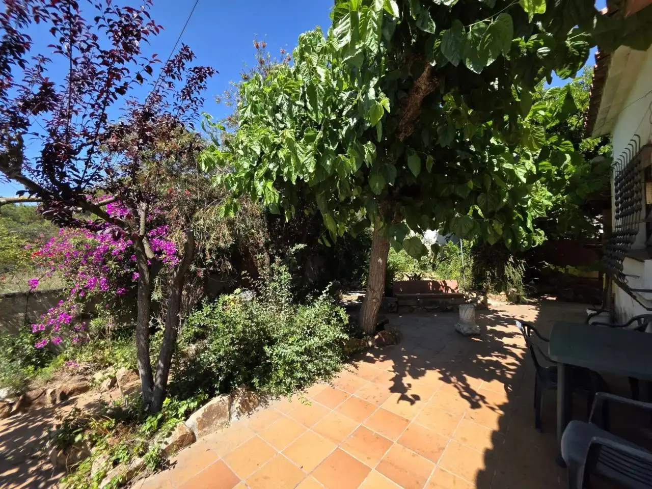Jardí de Casa o xalet en venda en Malgrat de Mar amb Aire condicionat, Calefacció i Jardí privat