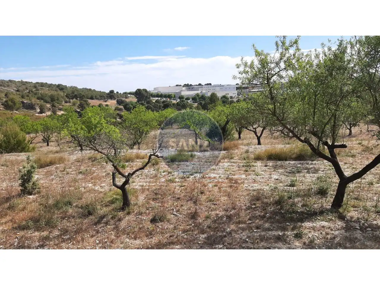 Terrain rustique à vendre à Calle Partida la Baronia, imagen 13