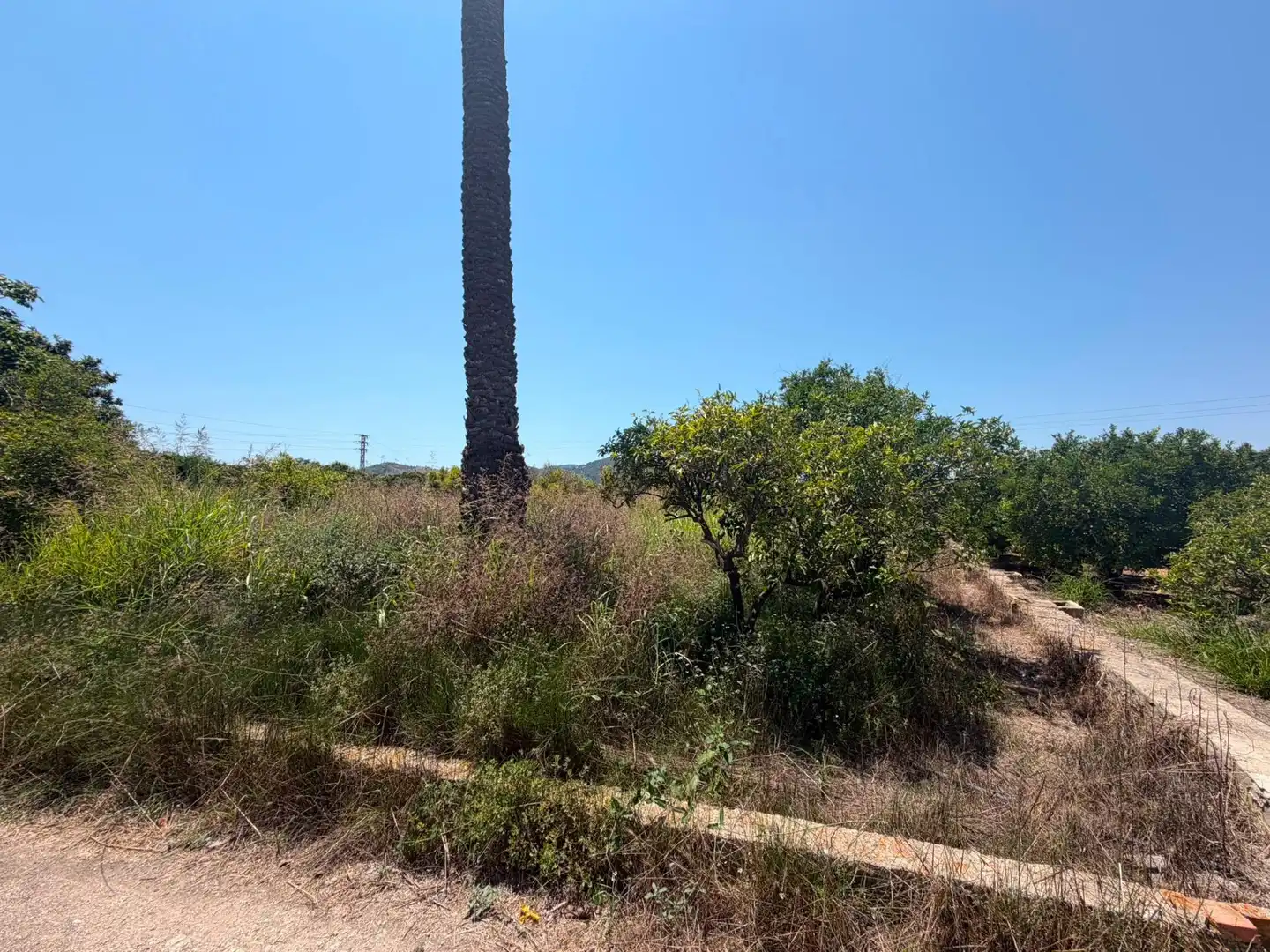 Terrain rustique à vendre à Oliva pueblo, imagen 11