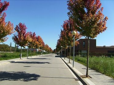 Wohnbaugrundstück zum Verkauf in Avinguda Padró