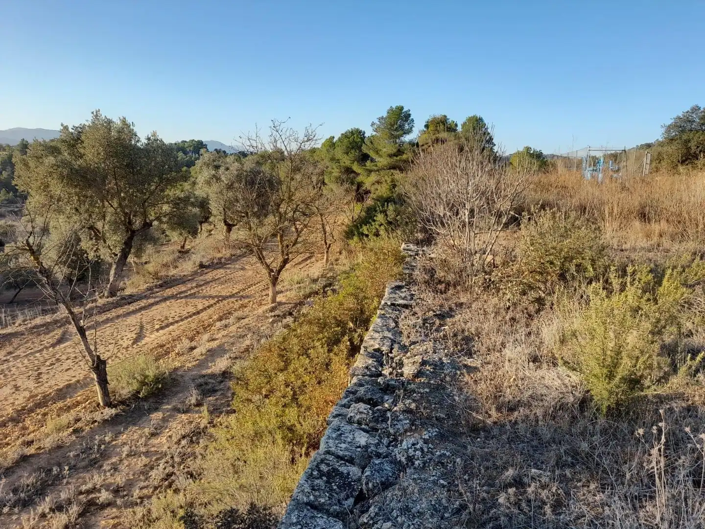 Terreno rústico en venta en Corbera d'Ebre, imagen 18