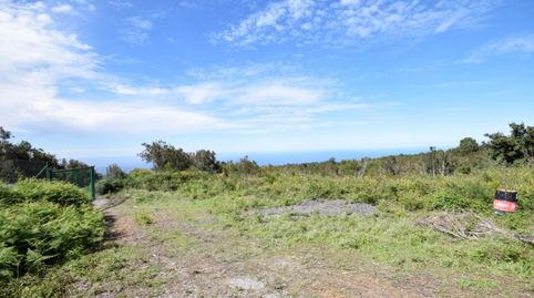 Foto 5 de Casa o chalet en venta en Pista la Cancela, El Tanque, Santa Cruz de Tenerife