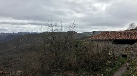 SOLAR CON RUINAS DE CASA Y CUADRA CERCA DE CANGAS DE ONIS CON VISTAS A PICOS DE EUROPA, immagine 5