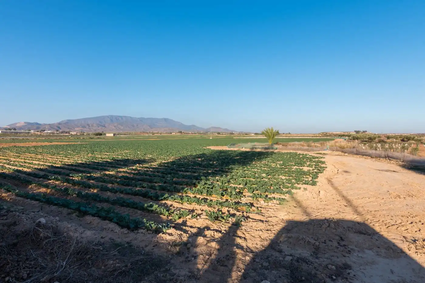 Finca rústica en venta en Alhama de Murcia