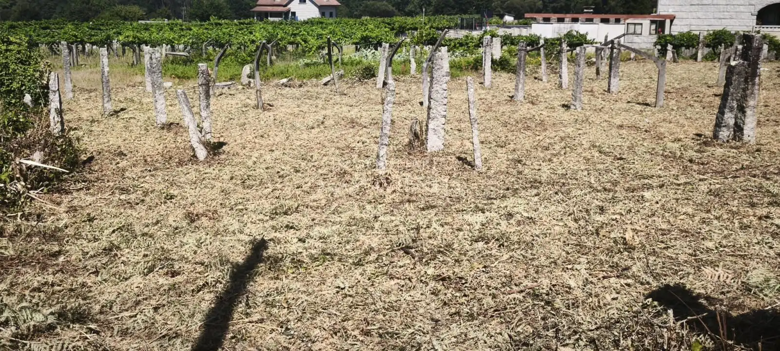 Terreni e lotti in vendita a Agro (O)-Parderrubias, imagen 2