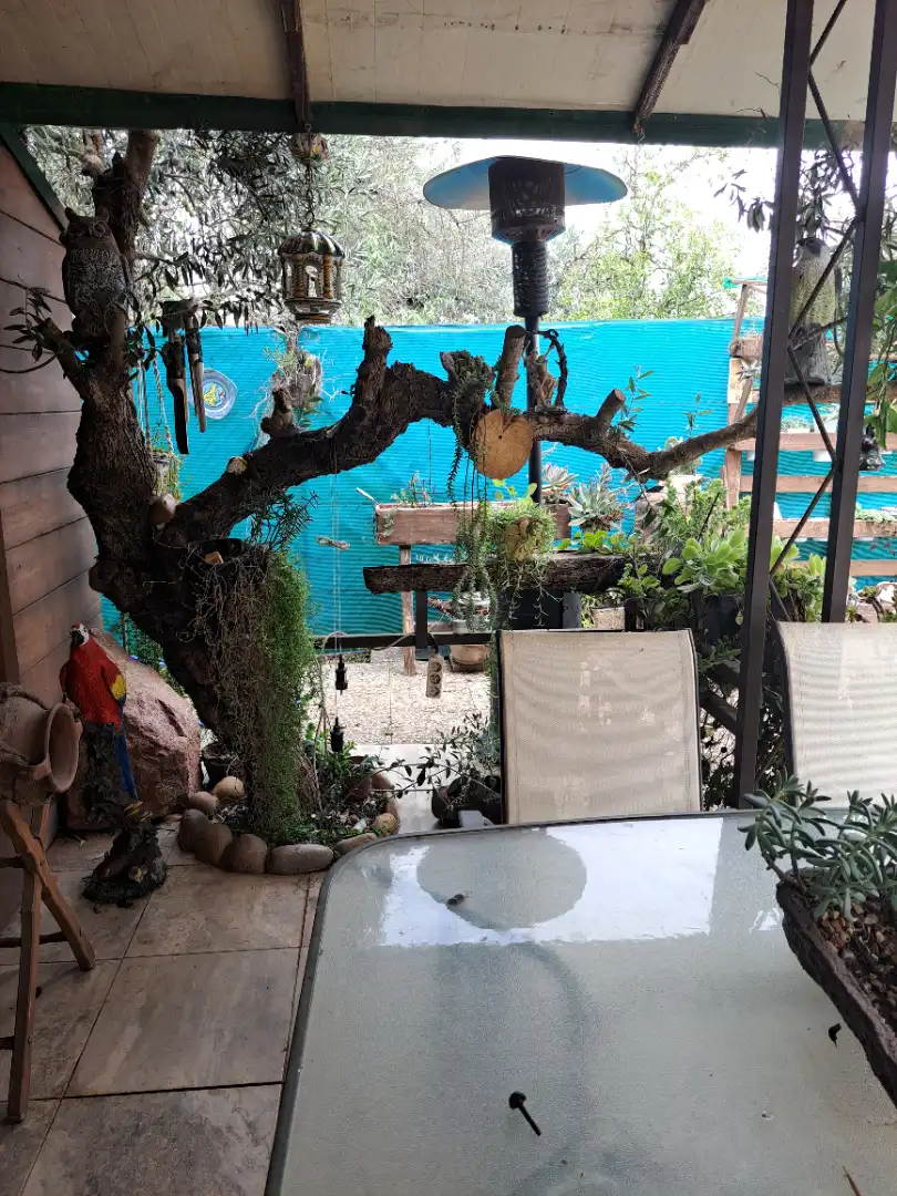 Terrassa de Finca rústica en venda en Dos Hermanas amb Aire condicionat, Jardí privat i Moblat