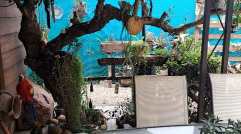Foto 2 de Finca rústica en venda a La Hacienda - Nueva Andalucía, Dos Hermanas