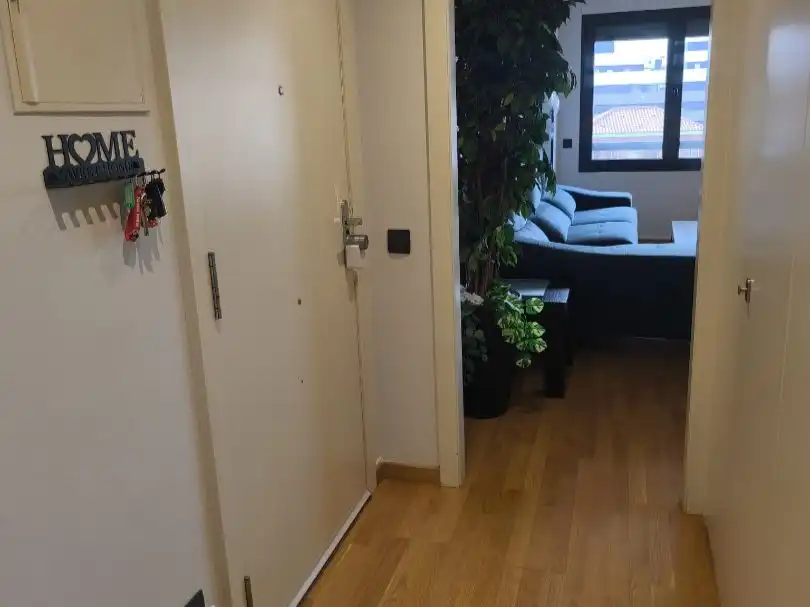 Flat with lift for sale in PLAZA LLUIS CASASAS 6, imagen 14