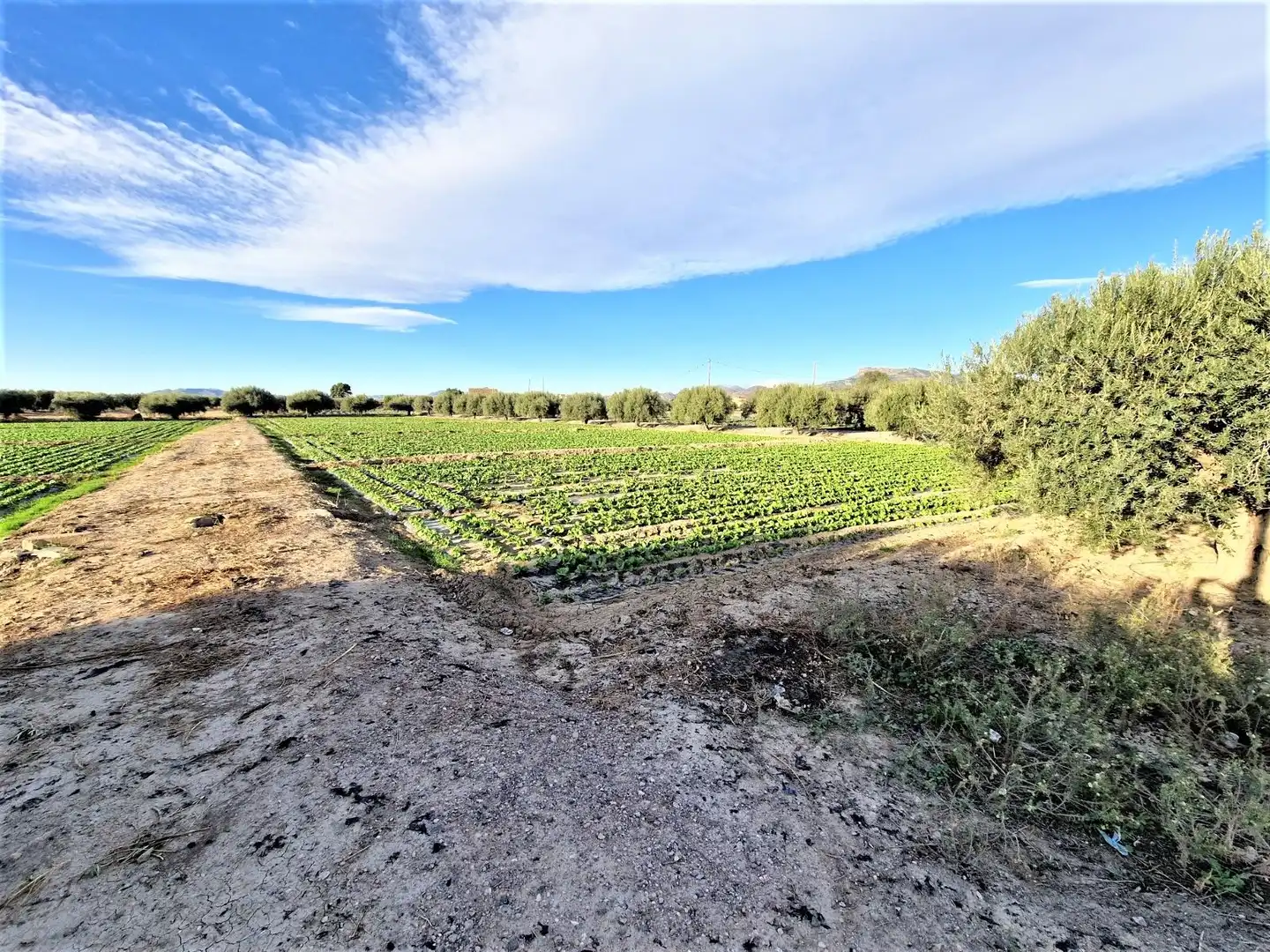 Residencial en venta en Lorca