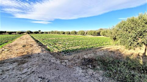 Foto 2 de Residencial en venta en Pulgara, Lorca