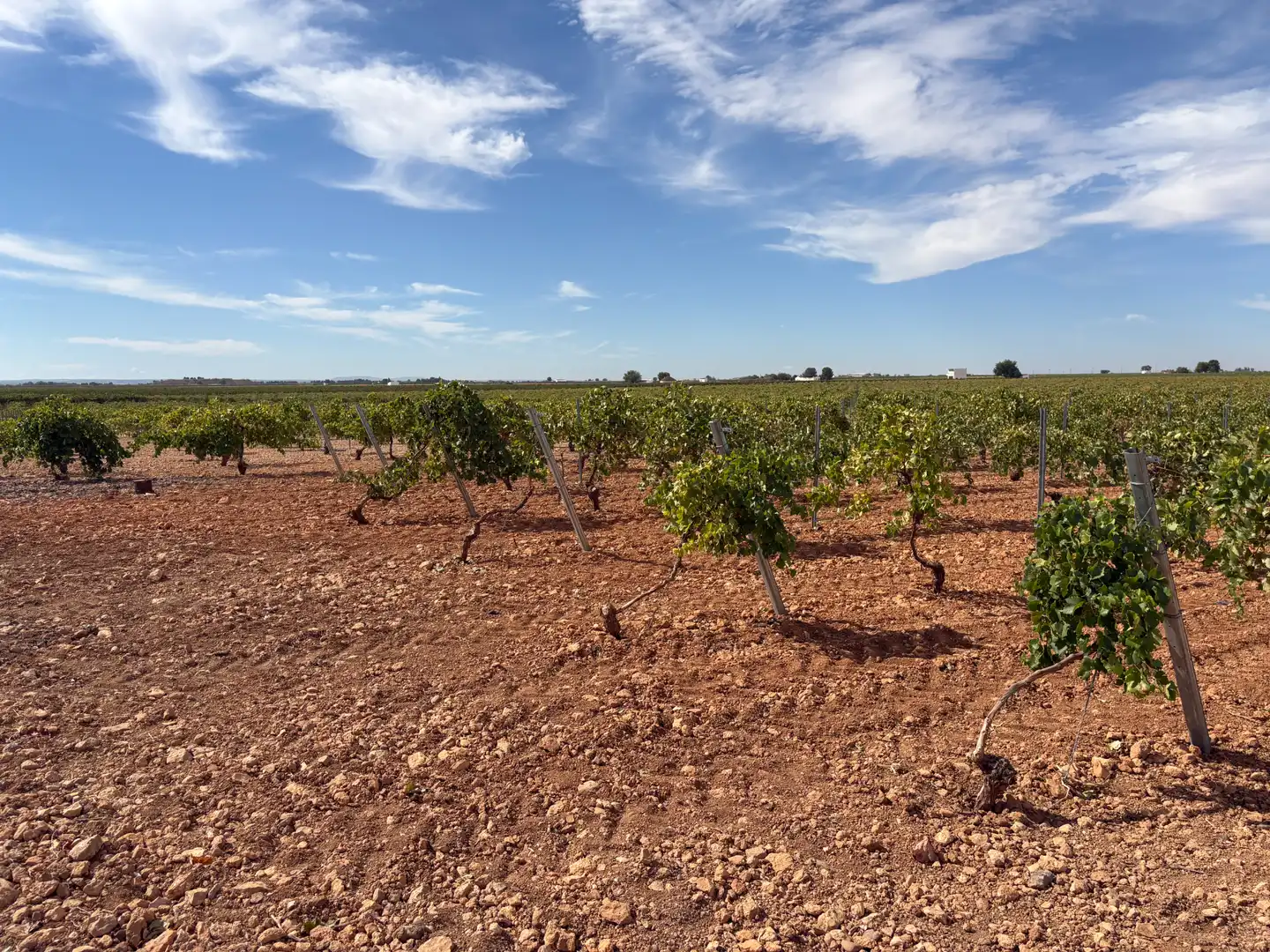 Rural land for sale in CM-400 580, imagen 45