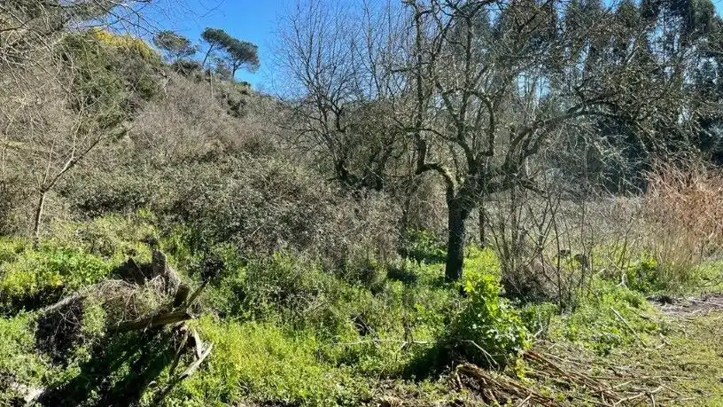 Terreny residencial en venda a urb Berrocanes.area de Reparto 20-e,parcela A