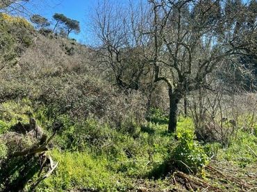 Terreno residenziale in vendita a urb Berrocanes.area de Reparto 20-e,parcela A