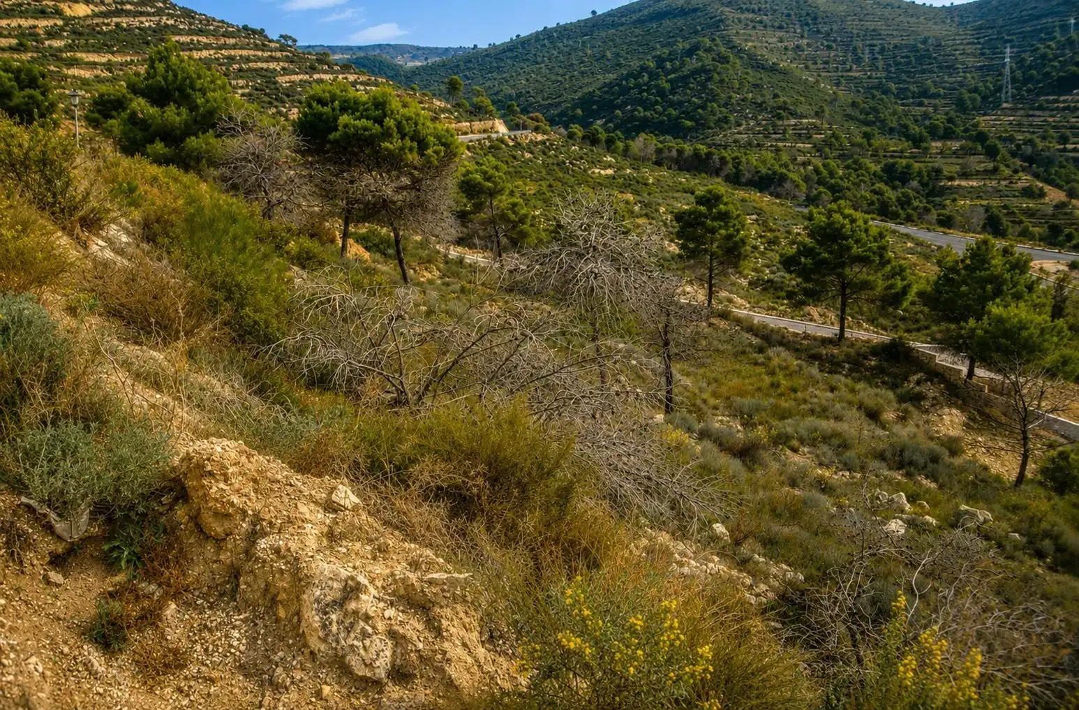 Wohnbaugrundstück zum Verkauf in La Empedrola, imagen 5