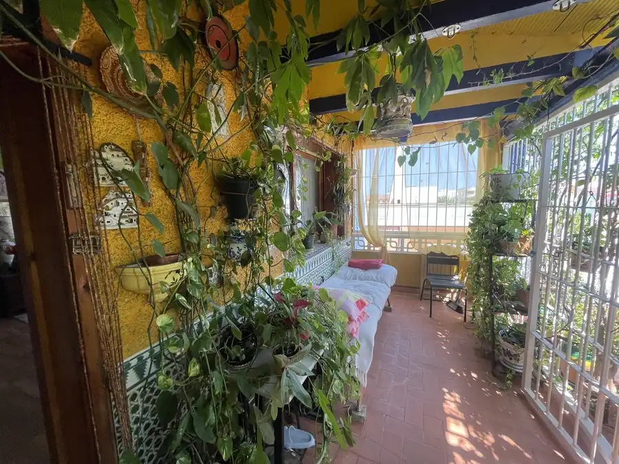Reihenhaus zum Verkauf in Formentera del Segura, imagen 16