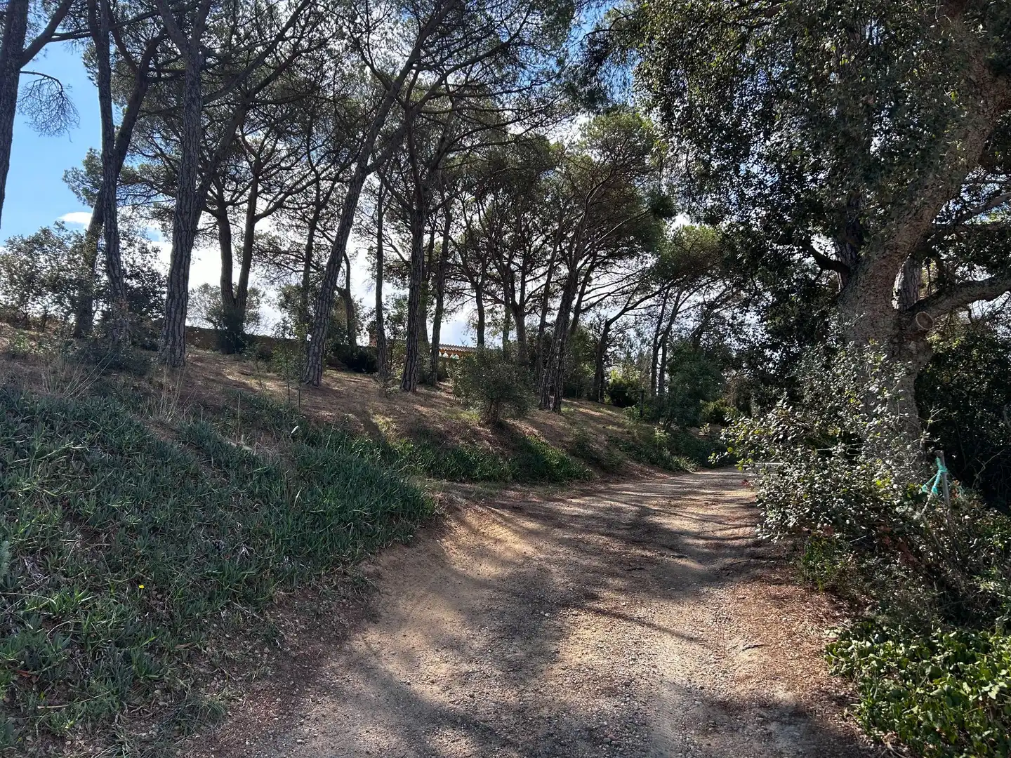 Finca rústica en venta en Palamós con Jardín privado