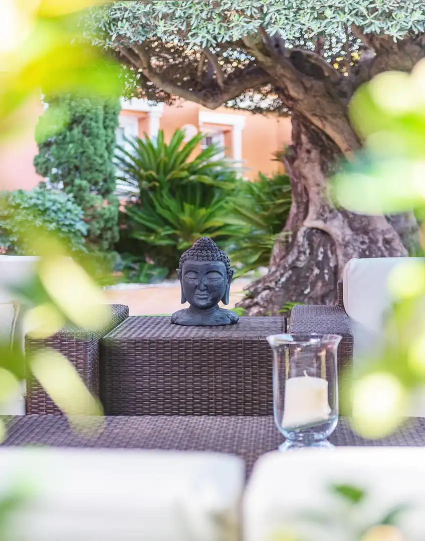 Villa mit Terrasse zum Verkauf in Las Marinas / Les Marines, imagen 64