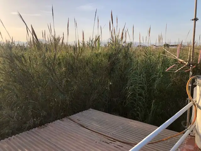 Casa o chalet en venta en Grau de Gandia - Venecia - Marenys de Rafalcaid