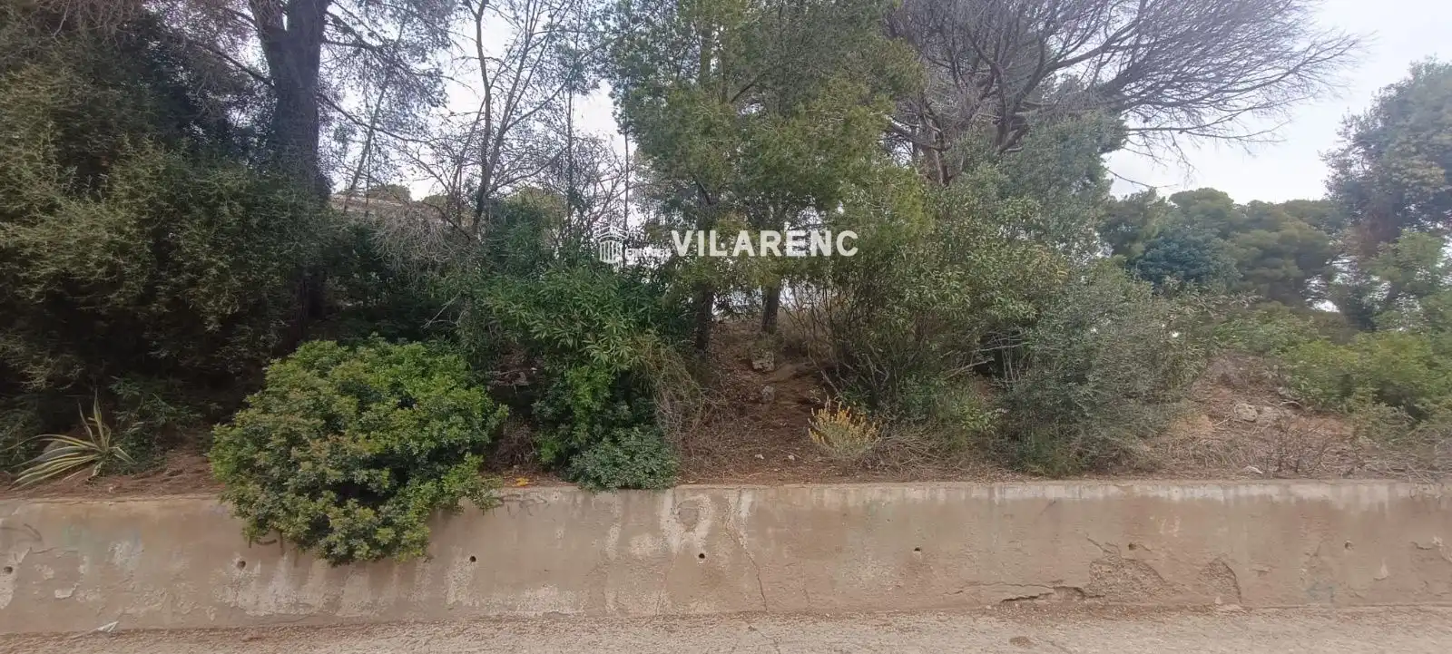 Rural land for sale in SAL, imagen 2