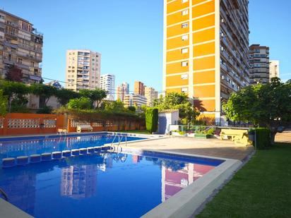 Piscina de Estudi en venda en Benidorm amb Piscina i Piscina comunitària