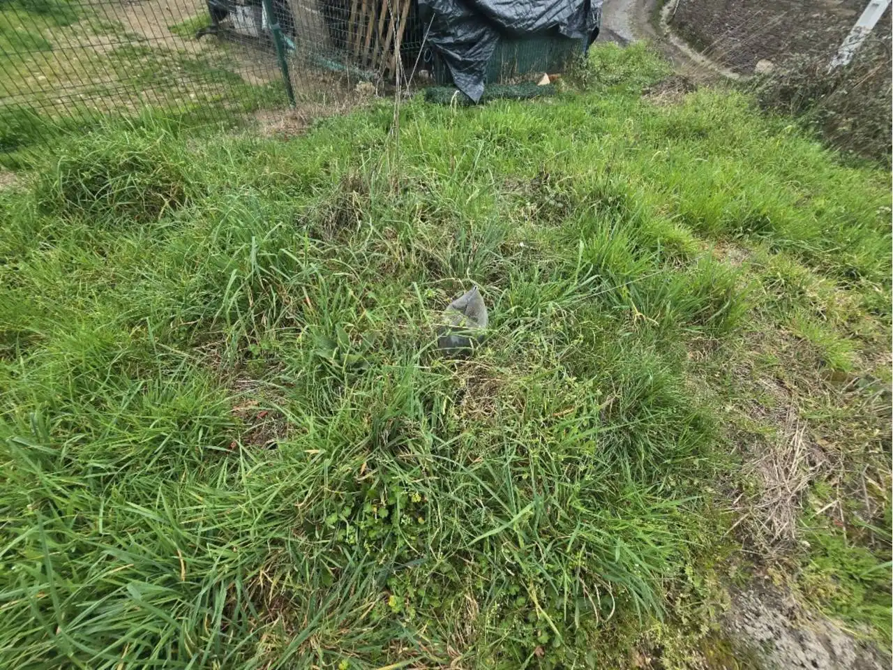 Terreni e lotti in vendita a Calle Tuixe-Lugo, imagen 4