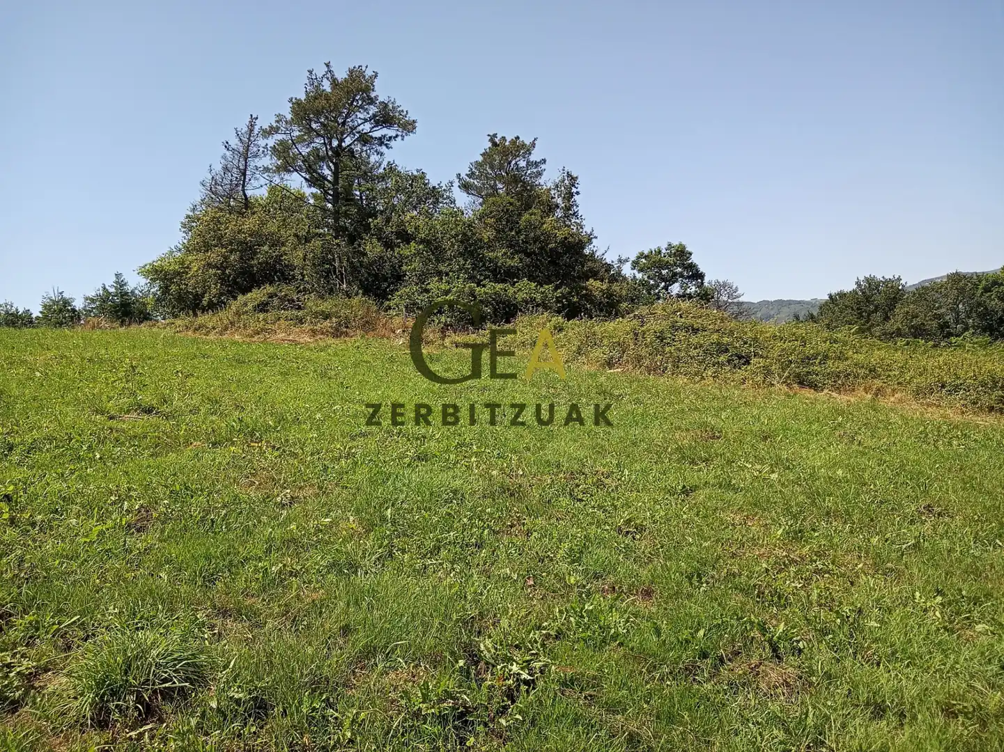 Land for sale in Asteasu