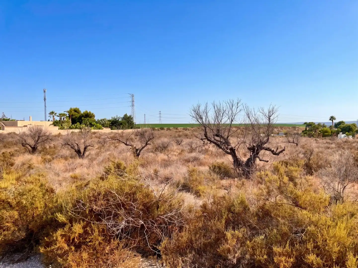 Rustikales Grundstück zum Verkauf in Partida PEÑA AGUILAS 3030, imagen 8