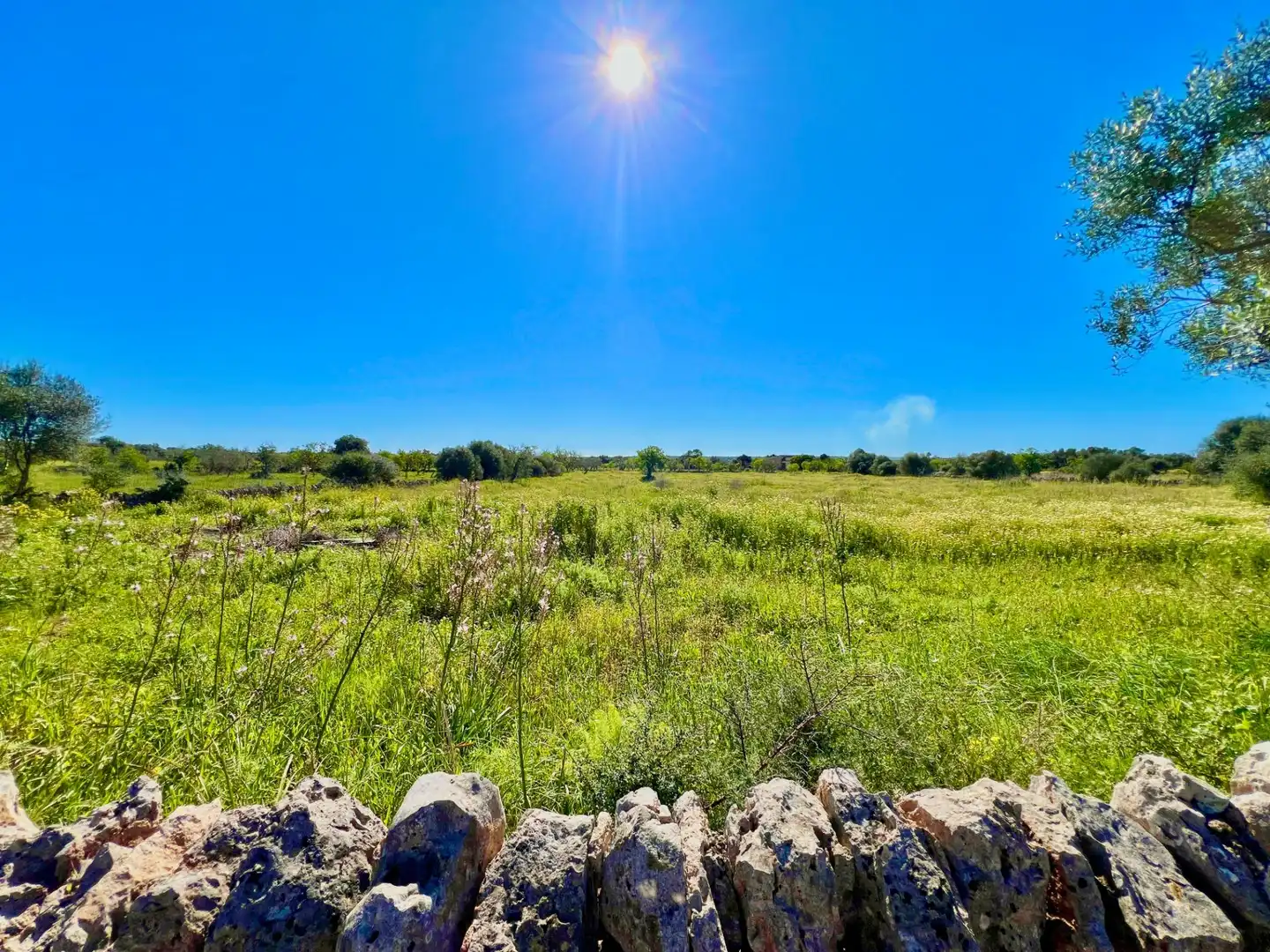 Residencial en venta en Santanyí