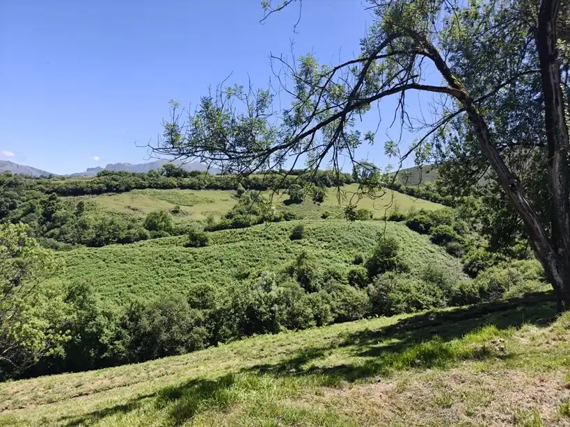 Terreno rustico in vendita a Proaza, imagen 44