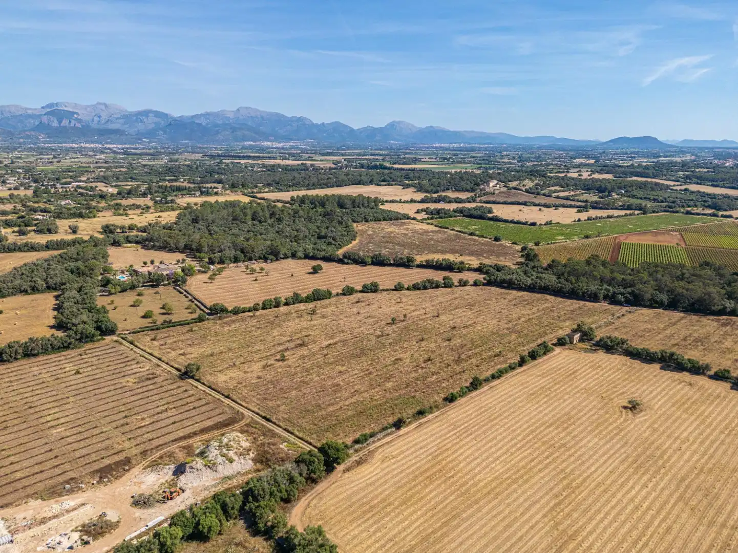 Rural land for sale in Sencelles, imagen 14