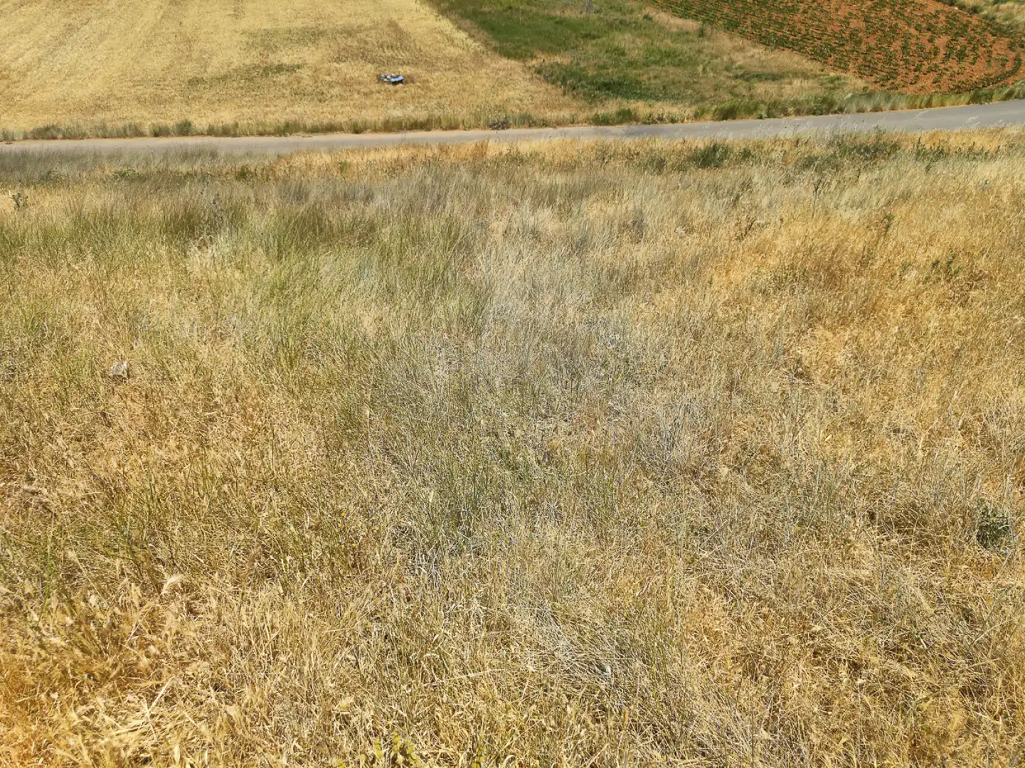 Terreni e lotti in vendita a Vallhermoso de la Fuente, imagen 9