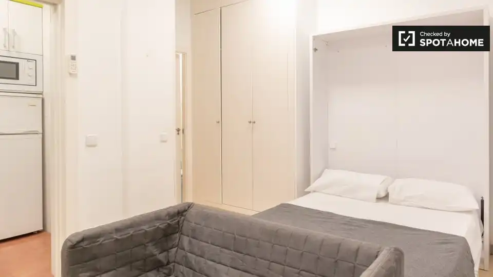 Room in Embajadores - Lavapiés