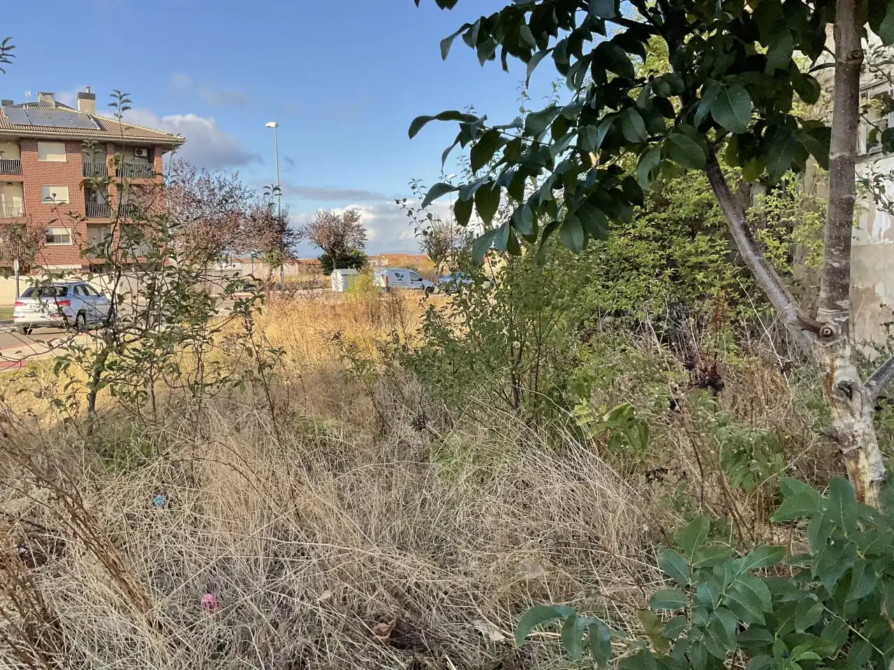 Terreno residencial en venta en Calle Río Palomarejos, imagen 14