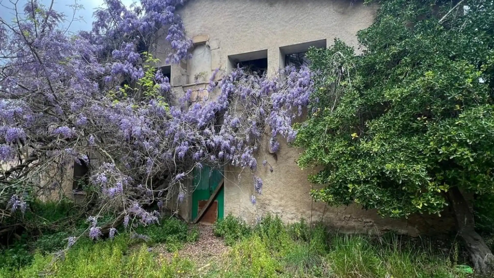 Vista exterior de Finca rústica en venta en Tossa de Mar con Jardín privado