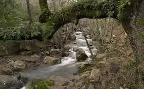 Vista exterior de Finca rústica en venta en Algeciras con Jardín privado