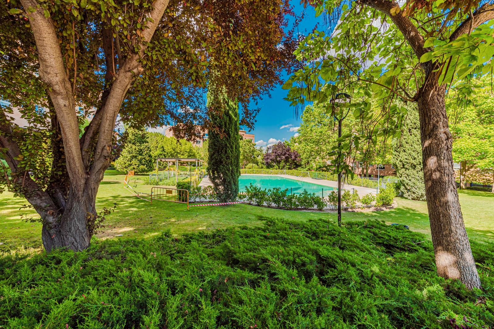 Garden of Flat to rent in  Madrid Capital  with Air Conditioner and Storage room