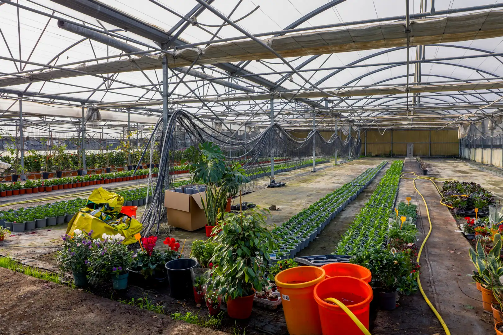 Garten von Grundstücke zum Verkauf in Vilassar de Mar