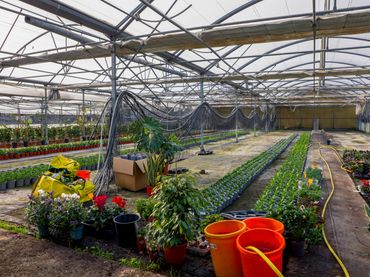 Terreno rustico in vendita a Poligono Industrial els Garrofers