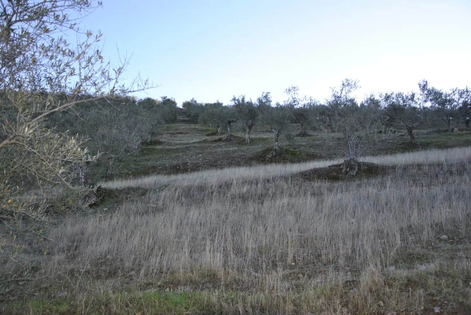 Terreno en venta en La Pesga 
