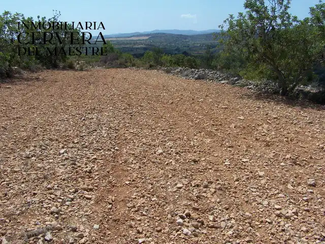 Rural land for sale in Cervera del Maestre, imagen 9