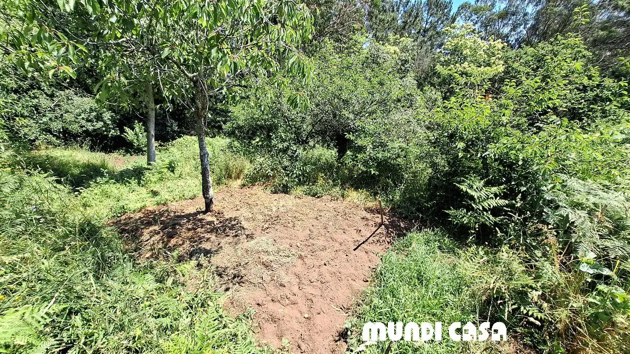 Houses for sale in Boiro
