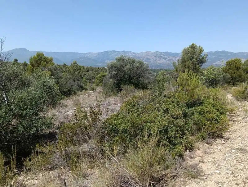 Terrain rustique à vendre à Tivenys, imagen 5