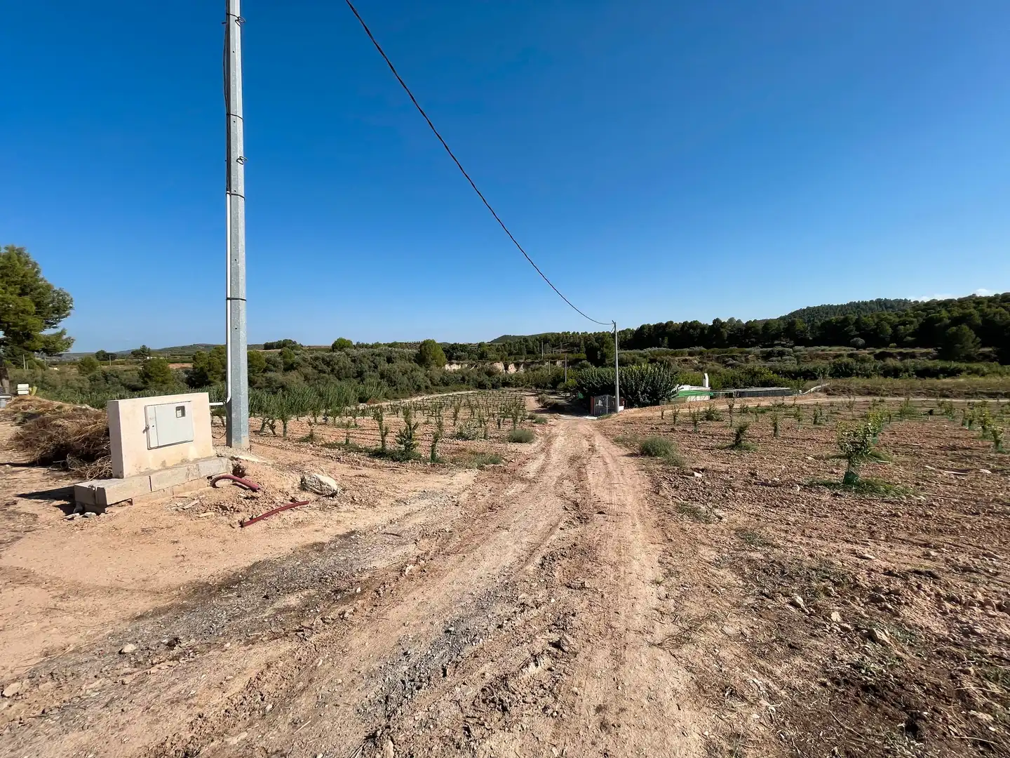 Terreno rustico in vendita a Cehegín, imagen 13