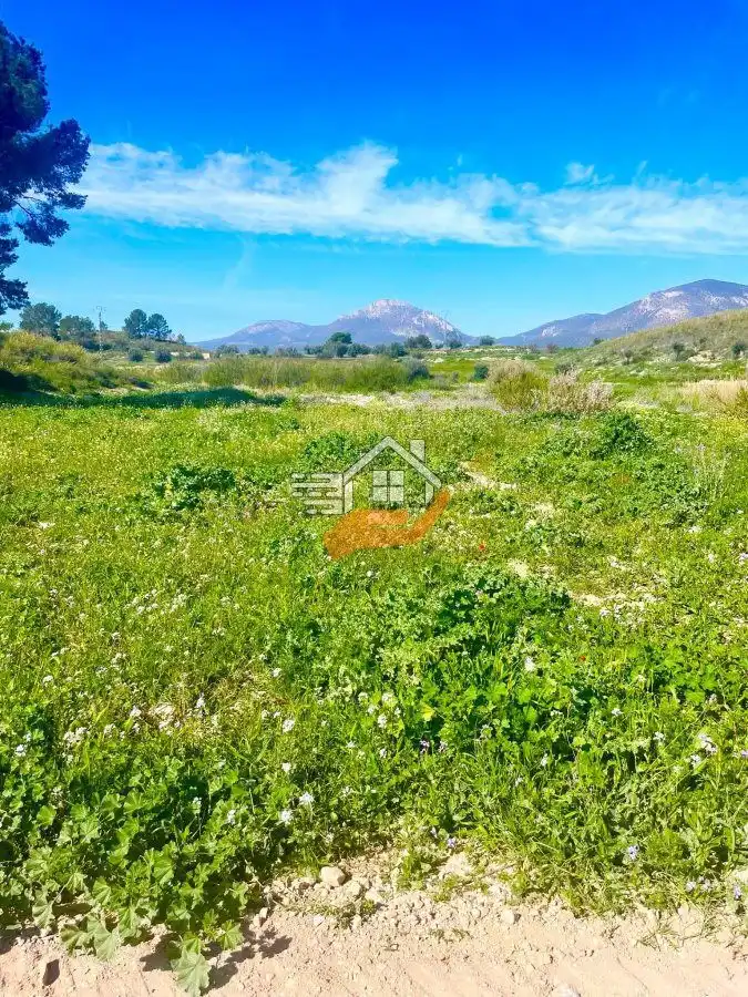 Lands and plots for sale in Pedanías Norte, imagen 2
