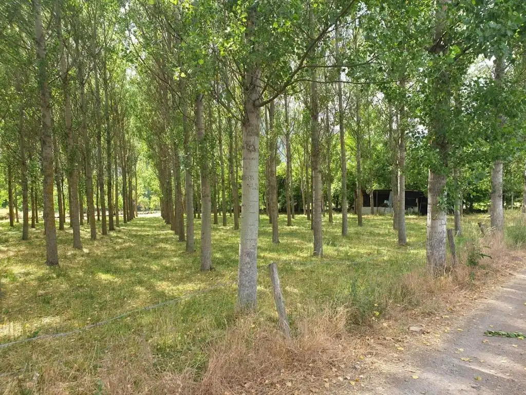 Terreno en venta en Castejón de Sos