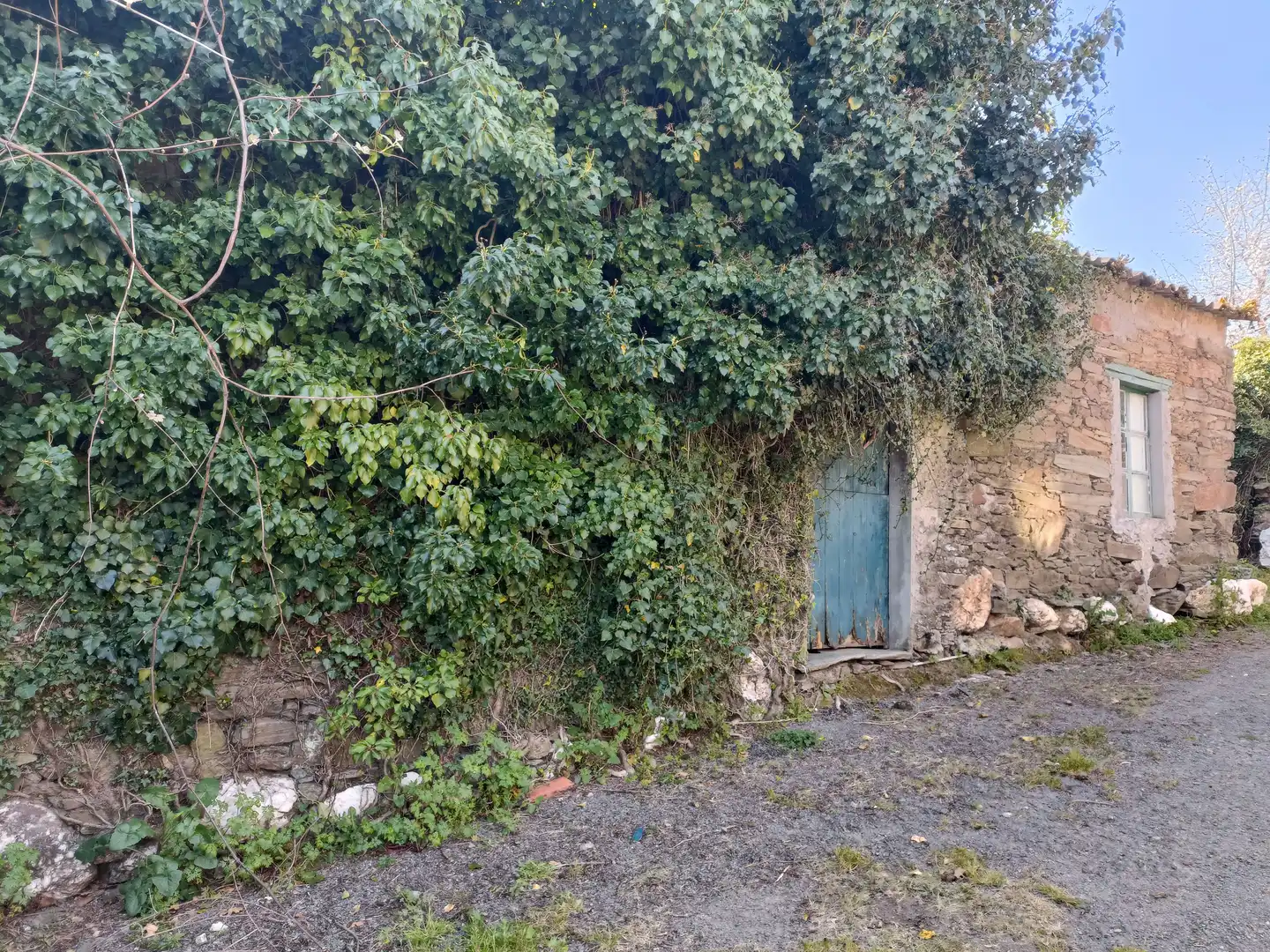 Vista exterior de Casa o chalet en venta en Cesuras con Jardín privado y Trastero