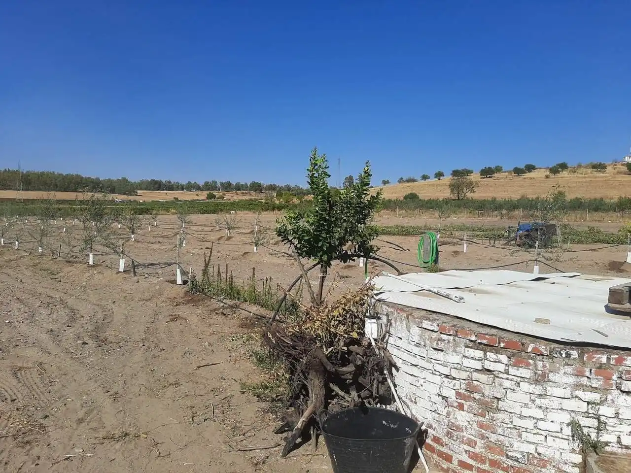Casa o chalet en venta en Calamonte