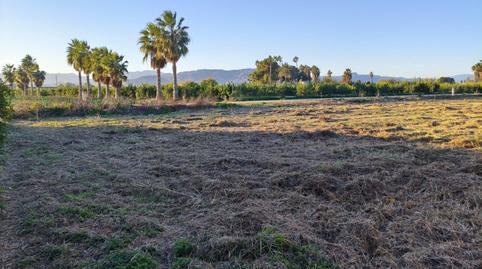 Foto 2 de Residencial en venta en Camino Brazal de la Mota, Alquerías, Murcia