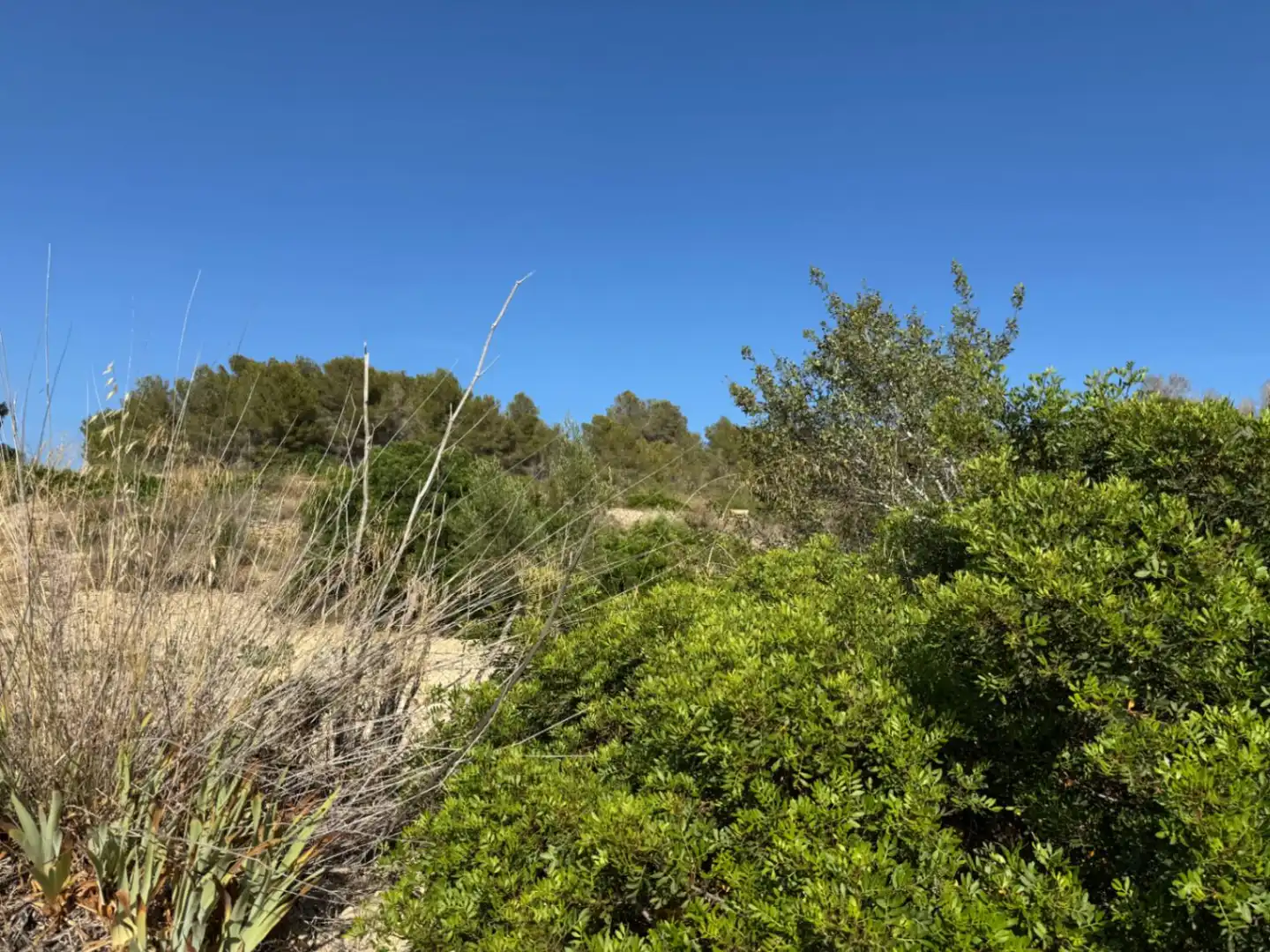 Wohnbaugrundstück zum Verkauf in Benissa pueblo, imagen 21