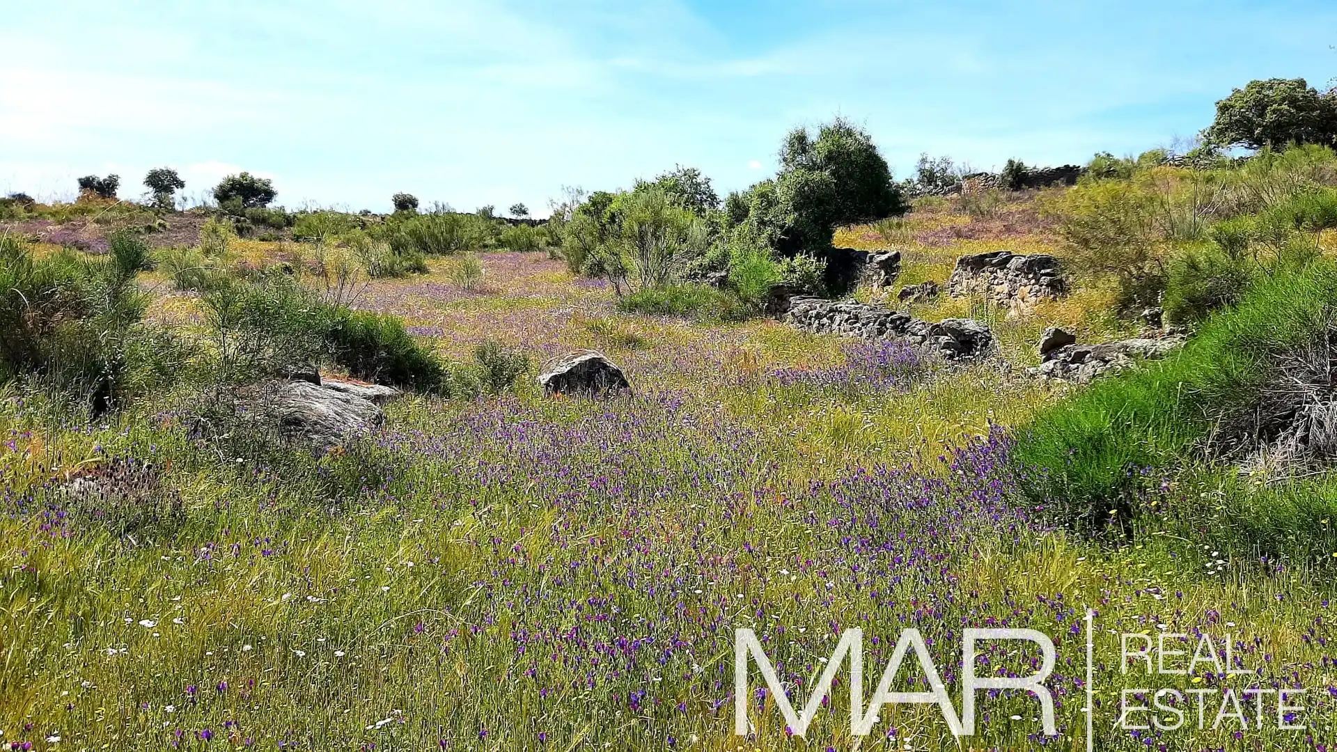 Terreni e lotti in vendita a Villar del Pedroso, imagen 16